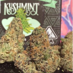 kush mint